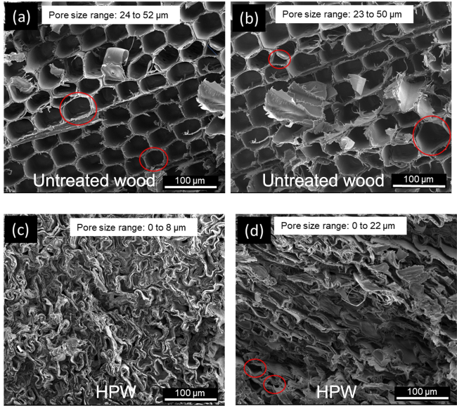 Endurawood microscopic view Endurawood microscopic view
