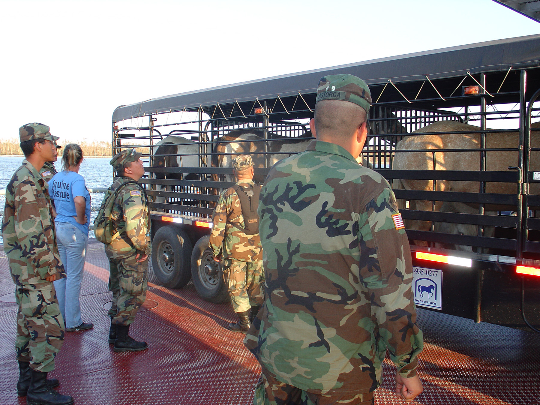 National Guard with horses in a horse trailer